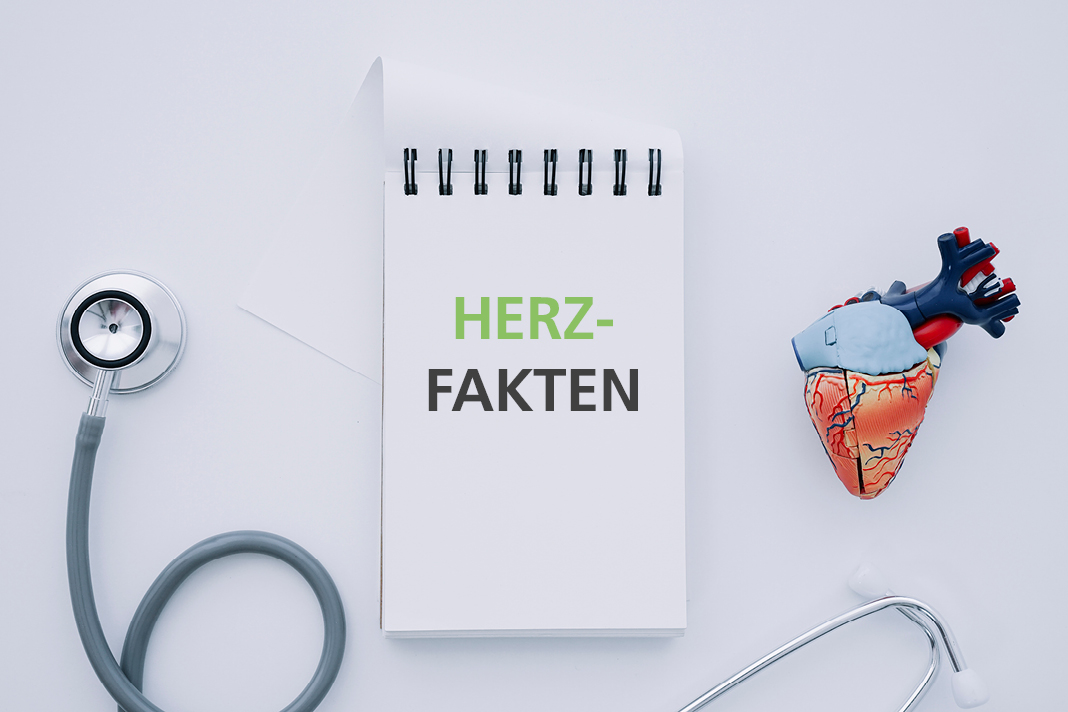 Fakten Uber Unser Herz Apropos Gesund