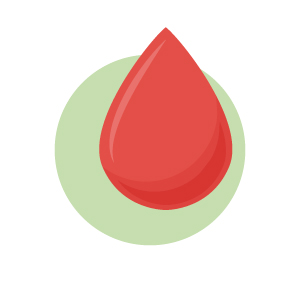 Fakten Uber Unser Herz Apropos Gesund